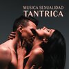 Zona de Música Erótica - Armonía y Bienestar