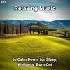 Relaxing Music by Terry Woodbead、Yoga、Relaxing Music - Relaxing Music for Cats