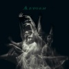 Flans - Aktron ve Paraz