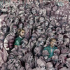 Sillage、Hood - FACCIO DA ME