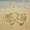 李佳伟 - 感谢