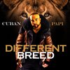 Cuban Papi - Different Breed (Explicit)