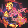 Steve Lucas、The Strawberry Teardrop - Ever So Lovely