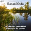 Relaxing Music by Terry Woodbead、New Age、Yoga - Fabulous Realizations