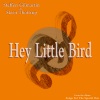 Steffen Gilmartin、Steen Thottrup - Hey Little Bird (Original)