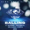 Songer、Vibe Chemistry、OneDa、Devilman、MrTraumatik《Balling (Edit|feat. Songer, Mr Traumatik, Devilman & OneDa)》[MP3/LRC]