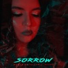 Radar Detector、Iriser - Sorrow