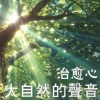 浅浅清风_ - 001.  大自然声音：安静的丛林