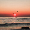 Sourabh Kothari - Simple Pleasure (Original Mix)