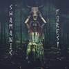 Peaceful Sleep Music Collection、Ethnic Moods Academy - Soul Hypnosis