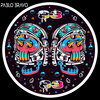 Pablo Bravo - Lonco Dream (Original Mix)