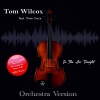 Tom Wilcox、Tom Luca《In the Air Tonight (Radio Orchestra)》[MP3/LRC]