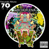 Facundo Altuna - Wachufleiva 70-1 (Original Mix)