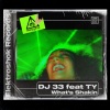 DJ 33 - What's Shakin