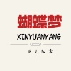 DJ大金 - 新鸳鸯蝴蝶梦 (Remix)