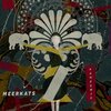 Meerkats - Infection
