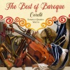 Musica Amphion、Johann Sebastian Bach、Remy Baudet、Sayuri Yamagata、Richte van der Meer、Hank Heyink - I. Adagio - Andante largo