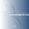 Vicky Merlino - The Expansion of Life (Original Mix)