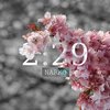 Narko - 2:29 (Explicit)