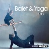 Moscow Symphony Orchestra - Dance Des Cygnes
