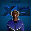 Nightwing - X6