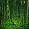 Baby Sleep Sounds、Pink Noise Babies、Brown Noise - White Relaxing Sound to Sleep Deep