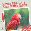 #Calmante - Siesta de Arcoiris Triples
