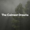 Peaceful Clarity - The Calmest Dreams, Pt. 1