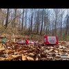 Sad Rx、Yung Jxden、ASESINO - The Woods (Explicit)