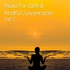 Meditation Playlist、Binaural Boy、Physical Therapy - Unwinding Style