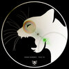 Diego Barrera - Slow Darkness (Original Mix)