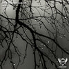 Super Sapien - November (Original Mix)