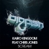 Chris Jones、Kairo Kingdom《Scream (Original Mix)》[MP3/LRC]