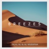 Talal Ali、Ali Mubarak - BREEZES (feat. Ali Mubarak)