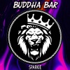 Buddha Bar Chillout - Life Goes On