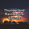Baby Rain、Sleepy Rain、Rain Sounds for Sleep - Cozy Rain For Yoga and Meditiation in the Evening