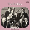 The Fireflies《You Were Mine》[MP3/LRC]