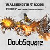 Walshingtin - Theory (Original Mix)