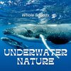 Echoes Of Nature、Underwater Sounds Channel、Water Soundscapes - Waves and Waters