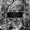 WESLA - 3 Seconds (Original Mix)