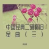 刘连国 - 爱的恋曲 (二胡曲)