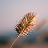 Musica Relajante & Yoga、Musica Para Dormir Bebes、Musica Relajante Specialistas & Musica Relajante - La Vida en Los Trópicos