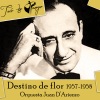 Orquesta Juan D'Arienzo、Roberto Rufino - Destino de flor
