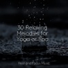 Academia de Meditação Buddha、Namaste Yoga、Binaural Beats Brain Waves Isochronic Tones Brain Wave Entrainment - Water