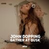 John Dopping - Gather at Dusk