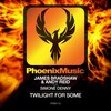 Andy Reid、simone denny、James Bradshaw - Twilight For Some (Classic Mix)