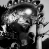 ØBLVN - Infernal