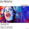 DJ Peisch - Esybamimu