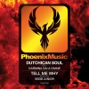 Karmina Dai、DiVine (NL)、Dutchican Soul - Tell Me Why (Sebb Junior Remix)