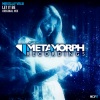 Miroslav Vrlik - Let It Be (Radio Edit)